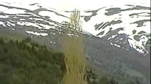 Узбекская песня Таваккал Кодиров Догман