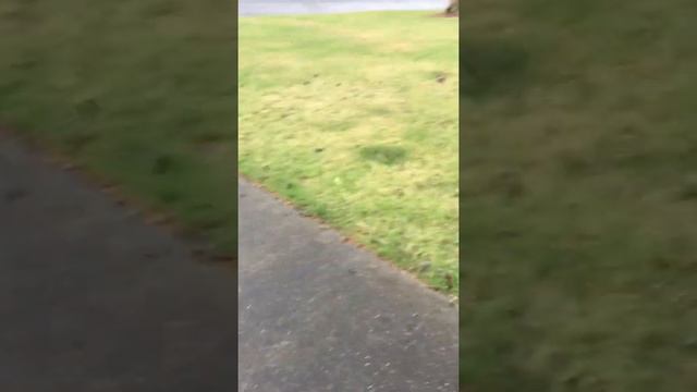 How do one plank 1 смотреть онлайн