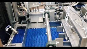 SPM-WRAPAROUND-15: формирование коробок и укладка в них морской капусты Балтийский берег