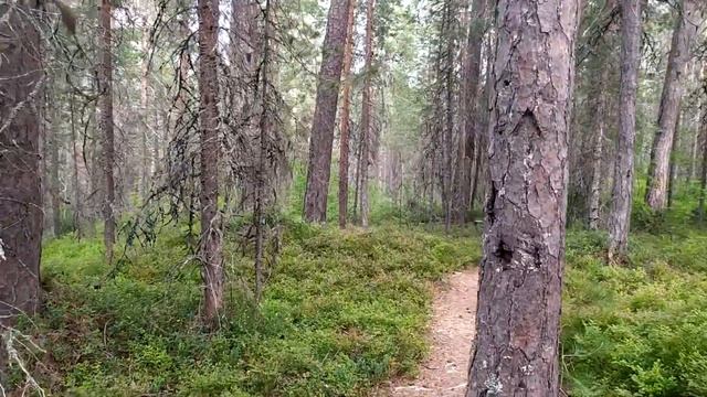 Русский Cевер 2020 - часть 2. КИЙ-ОСТРОВ. Архангельская область. смотреть онлайн