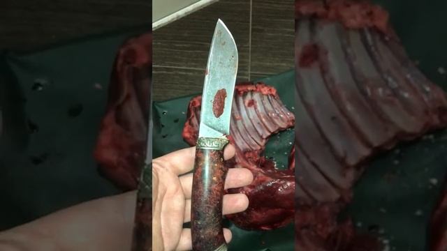ОТЗЫВ О СТАЛИ К340. Охота хозяйство Тюменской области. Нож Вожак средний. смотреть онлайн