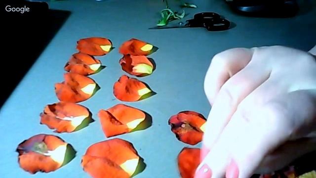 Роза Red eyes смотреть онлайн