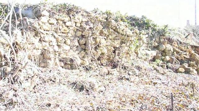 007-maison bulle enterrée, vue mur soutennement nord coté route смотреть онлайн