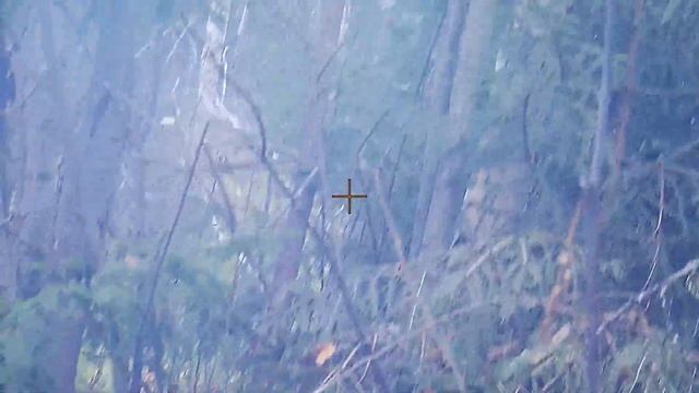 Достал на промельк