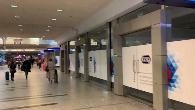 Миллионы лампадок зажглись в Польше. День всех святых. Праздник, традиции смотреть онлайн