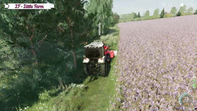 Покос лугов ? Ягодное #5 ? FS19 TimeLapse 4K смотреть онлайн