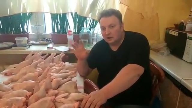 Все о с/х птице ч.8 "Минимясные продолжение" смотреть онлайн