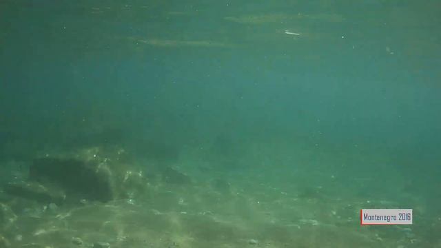 Черногория.? Montenegro/ ? Будва в сентябре смотреть онлайн