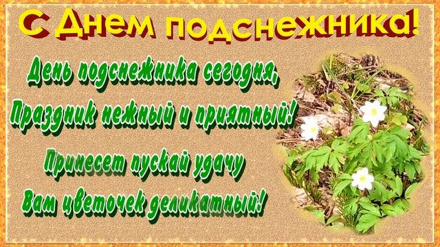 С Днем подснежника! Красивое поздравление открытка с Днем подснежника 19 апреля! смотреть онлайн
