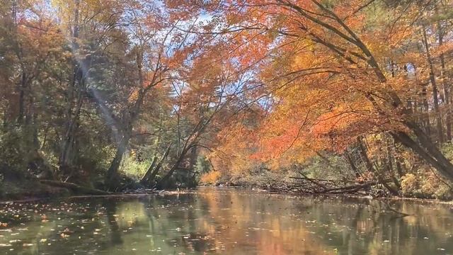 "Swiftly Floating" | Fall on the Swift River | by Brooks Robertson смотреть онлайн