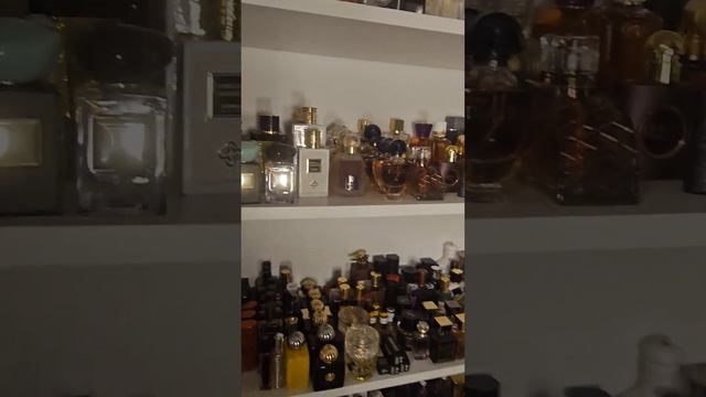 Парфюм дня Mimosa Tanneron Perris Monte Carlo #парфюмерныйшкаф #парфюмдня #sotd #perrismontecarlo смотреть онлайн