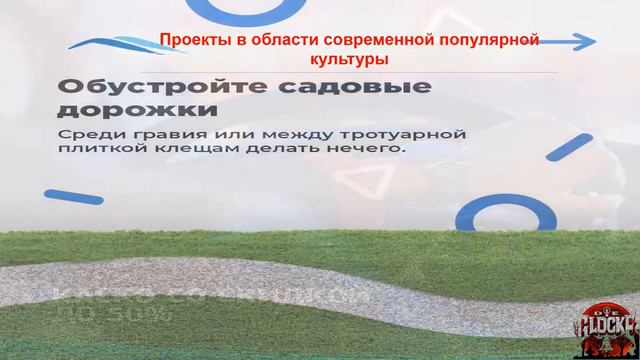 ВСК Всемирная Страховая Компания 4 Вольный Смелый Креатив смотреть онлайн