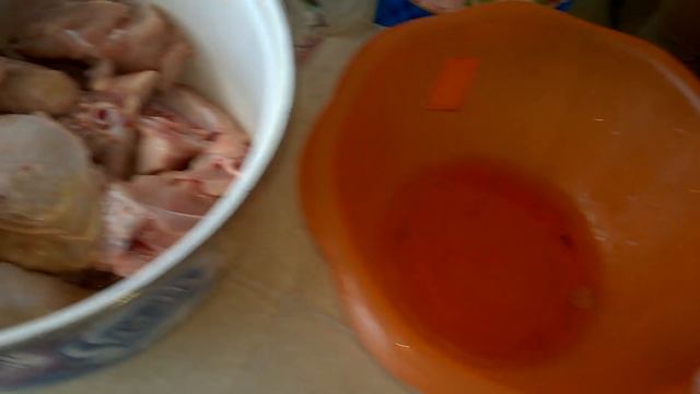 первый бройлер 38 суток смотреть онлайн