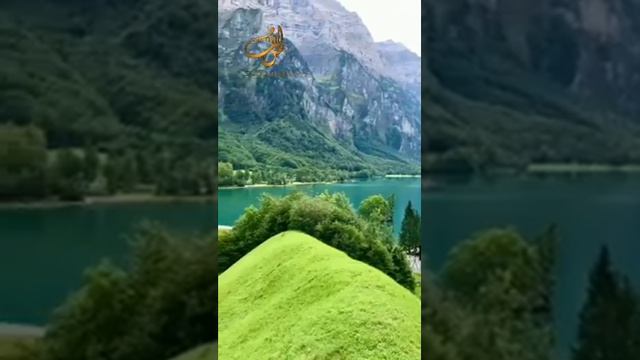 Шейх Мишари Рашид сура-12 Йусуф (Иосиф) #kuran#zakirnaik #kuran#sunnah#коран смотреть онлайн