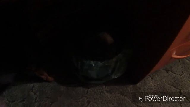 ТРАХЕИТ У СОБАКИ/МОЙ ОПЫТ. смотреть онлайн