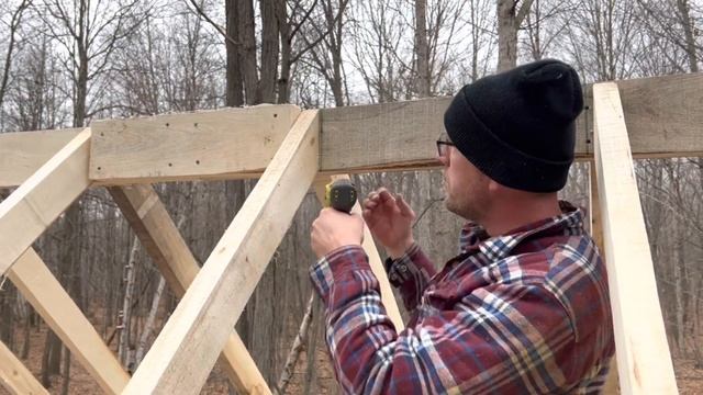 Off Grid Cabin in the Woods - Part 3 - Rafters! It’s starting to look like a cabin! смотреть онлайн