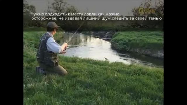 Советы по ловле ручьевой форели для начинающих! смотреть онлайн