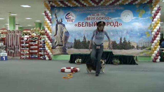 Шиленко Наталья и корги Арахис. Открытый-2 место смотреть онлайн