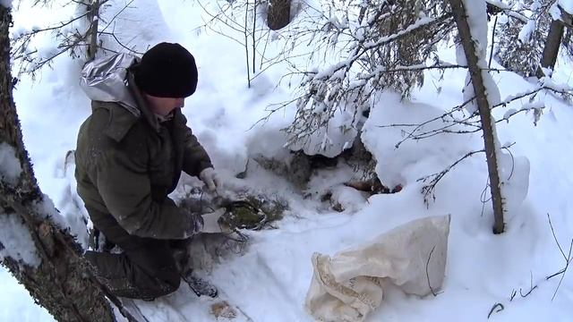 ПРОВЕРКА КАПКАНОВ НА КУНИЦУ/ПРИВАДА НА ВОЛКА/СНЕЖНЫЙ ПЛЕН)) смотреть онлайн
