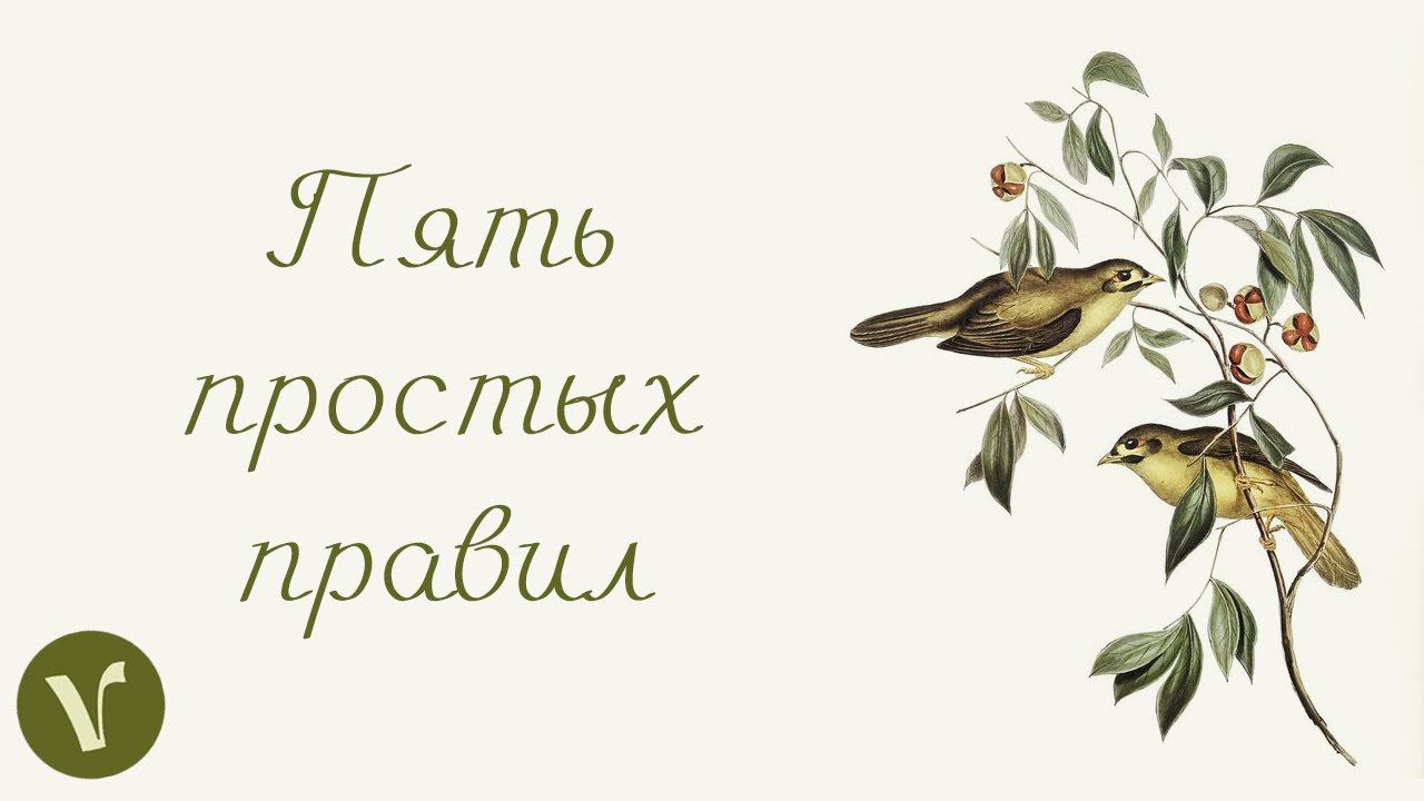 Заговори на сербском лучше, сразу (5 правил для окончаний)