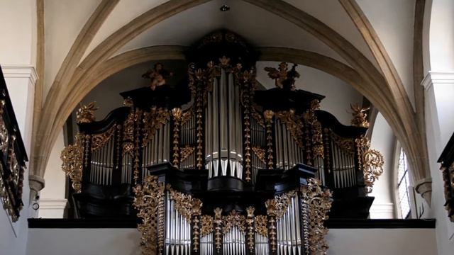 Wolfgang W. Mayer - Dominus Vobiscum / Chorgemeinschaft Freistadt & Miloš Katanić смотреть онлайн