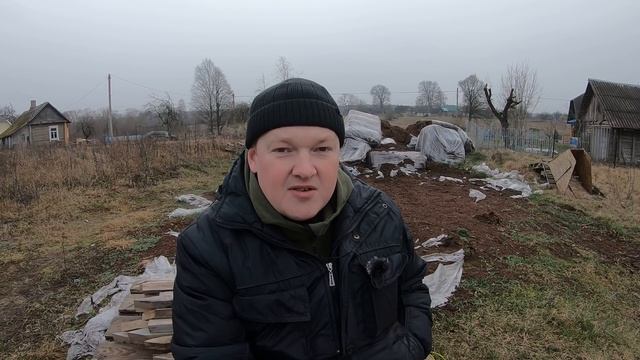 Сколько на самом деле стоит гектар голубики? смотреть онлайн