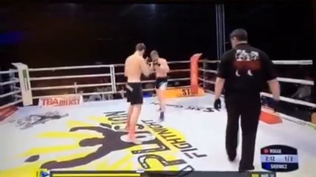 Rogge vs Sajewicz смотреть онлайн