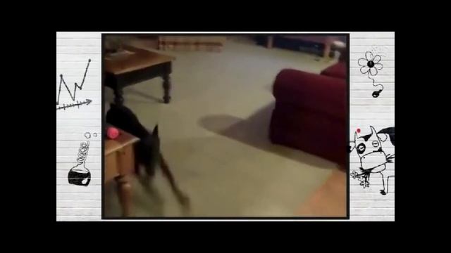 Собирайся поедем на дачу (встреча выпускников из ОДА)) смотреть онлайн