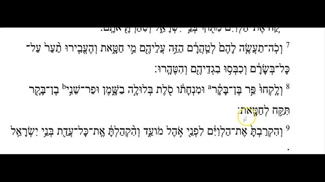 Бэхаалотха - Числа 8:1-22. Читать Тору на иврите.