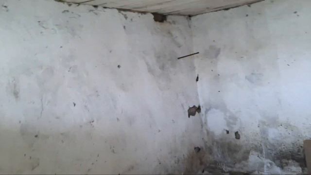 Переезд на юг. Готовимся к переселению.#переезднаюг#деревня#море#пмж#станица#краснодарскийкрай