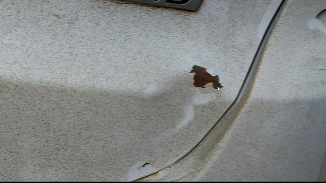 Качество окраски кузова Hyundai IX35 CRDI 4WD смотреть онлайн