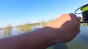 Ловля Карася на ПоПлавок!!!(МАЯК)