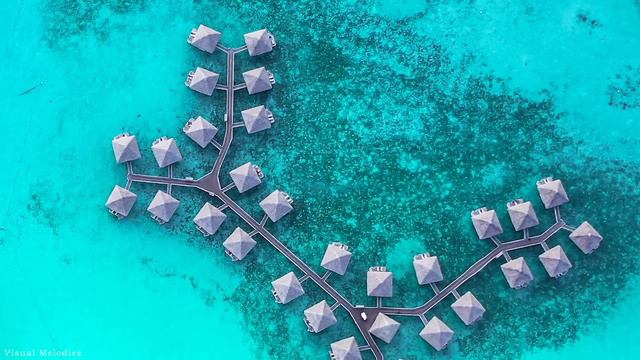 Tropical Caribbean Beach Music Travel Video with Beautiful Views of Beach Travel Destinations смотреть онлайн