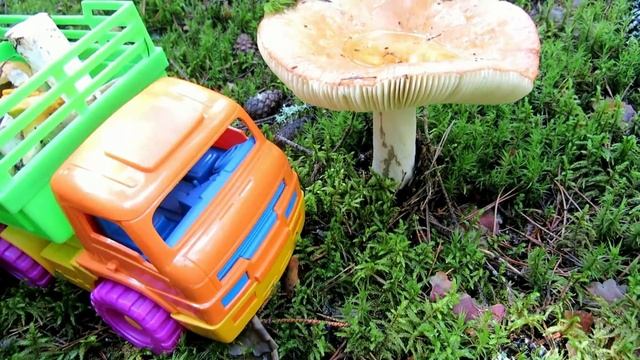Мультик про грузовик. В лес за грибами и ягодами. Игрушечные машинки смотреть онлайн