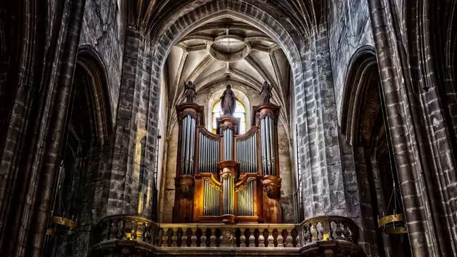Tribute to Cathédrale Notre Dame de Paris смотреть онлайн
