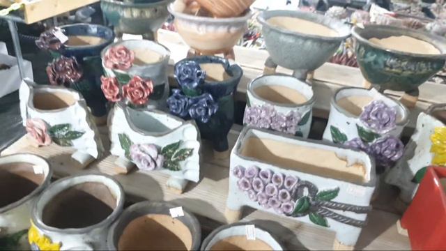 추워요~~다육이들 대피했나요? смотреть онлайн