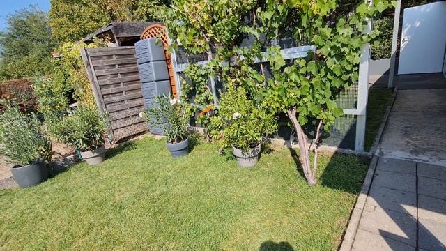 Наша жизнь в Германии 🇩🇪. хлопаы/ и🍃 идее на даче 🏕 смотреть онлайн