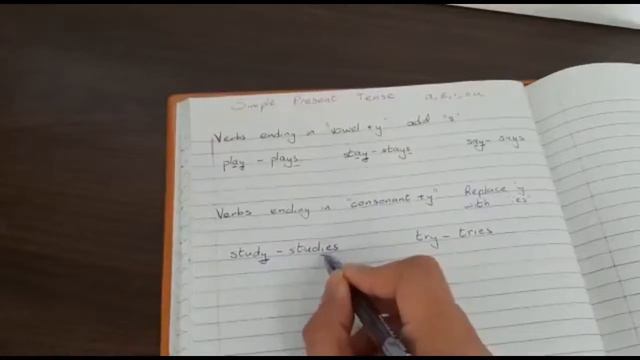 Present Simple Tense (part 3) - Verbs ending with y смотреть онлайн