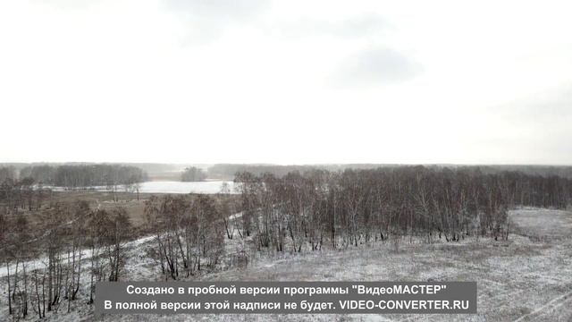 Косули 19 на лежке смотреть онлайн