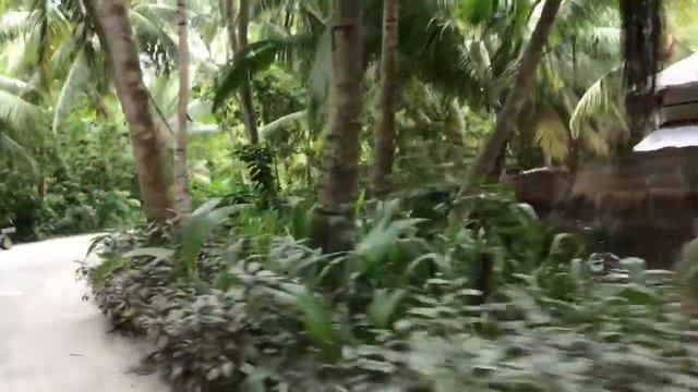Shangrila Maldives || Beyond Paradise смотреть онлайн