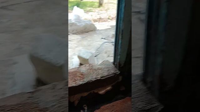 Кладка кирпича на клей/пену. смотреть онлайн