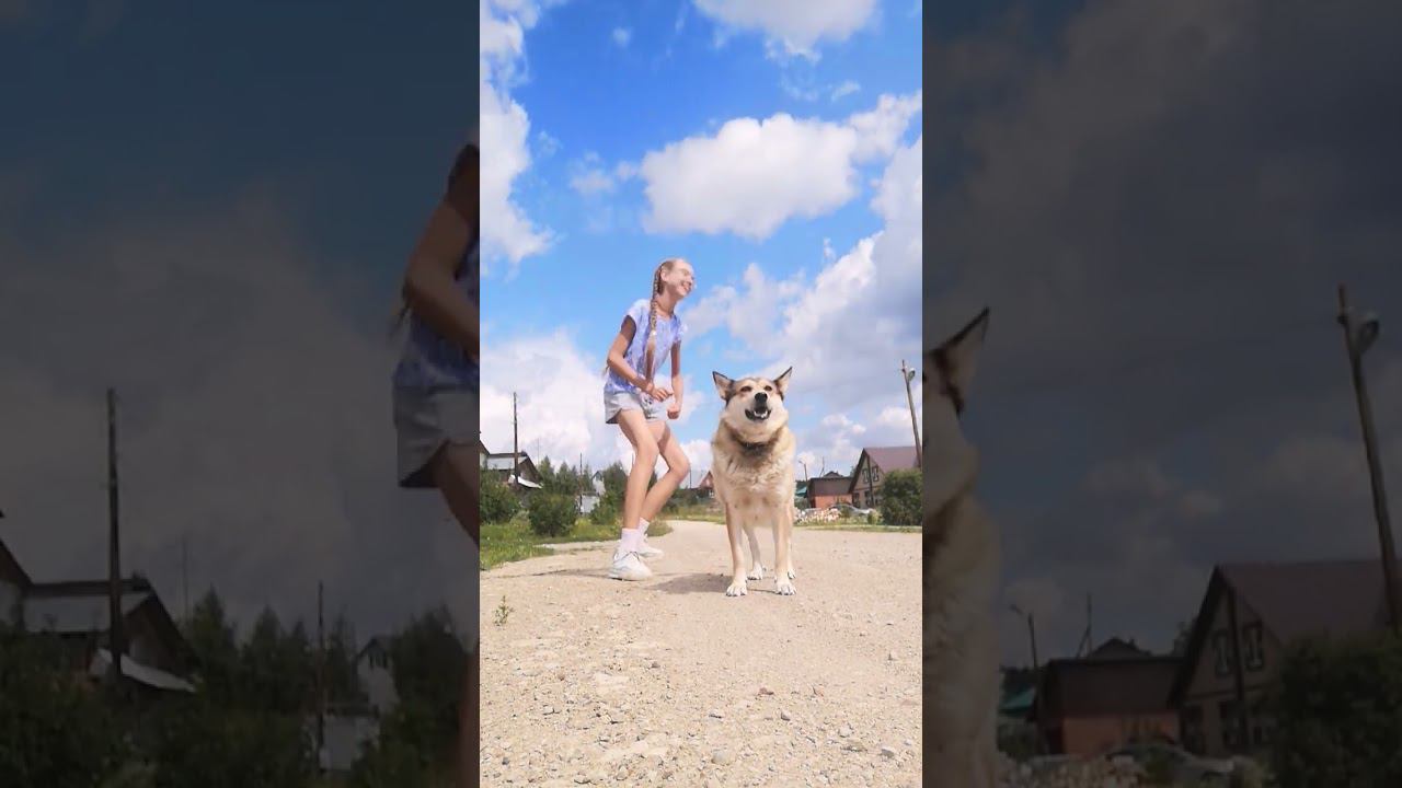 куда это я? даже пёсик в шоке смотреть онлайн