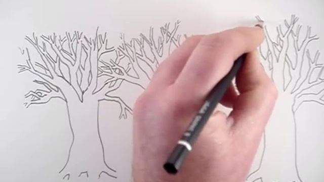 How to Draw a Tree and a Forest смотреть онлайн