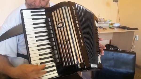 Weltmeister Consona 96 Bass Cassotto LMMH Accordion Akkordeon Fisarmonica + Case AC487 (4)