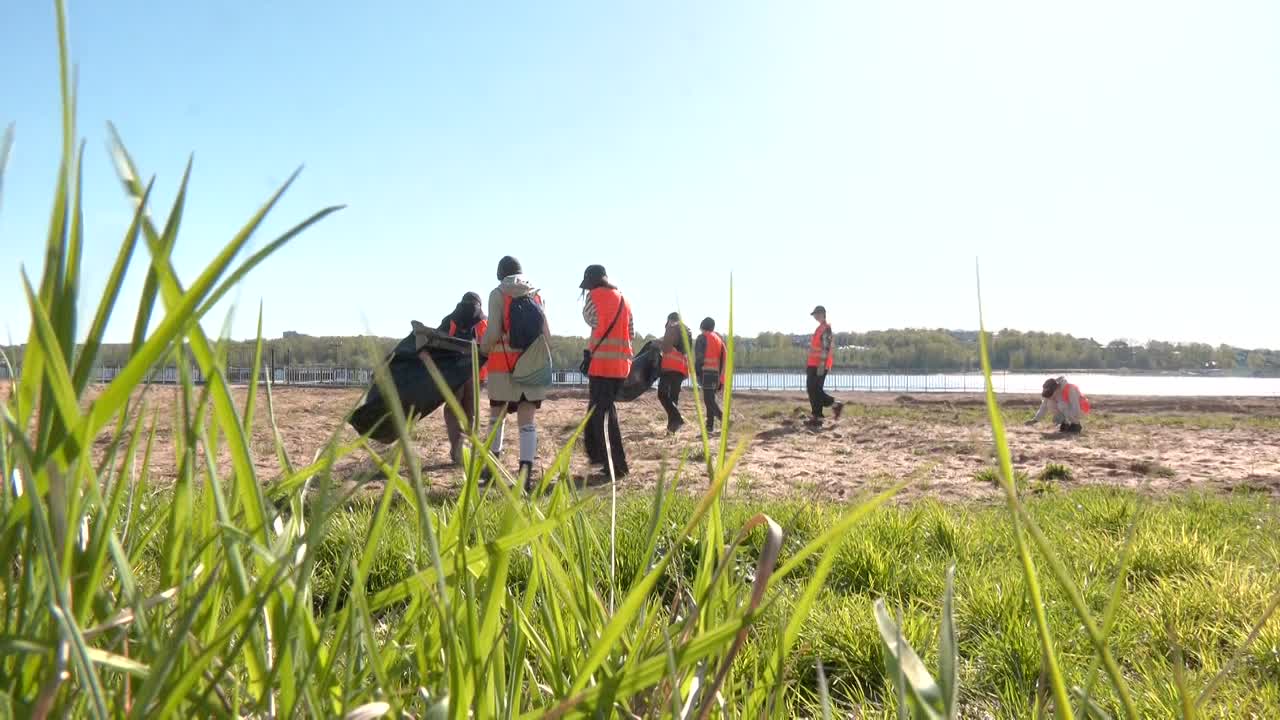 Свой выбор уже сделали более 80 000 жителей Костромской области