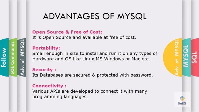 SQL and its Commands class 11 Part 1 |Python wallah| PDF notes смотреть онлайн