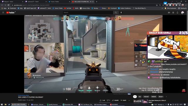 if xQc had no cam and was a bongo cat streamer смотреть онлайн