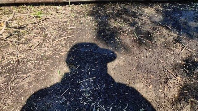 Совёнкина дача 36 - День с огоньком смотреть онлайн