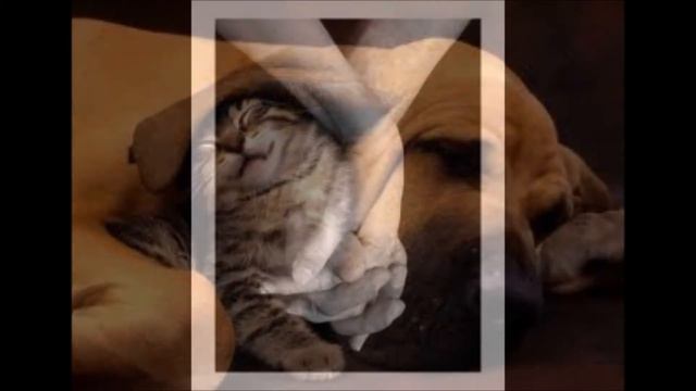 stelios rokkos-hme dikos sou смотреть онлайн