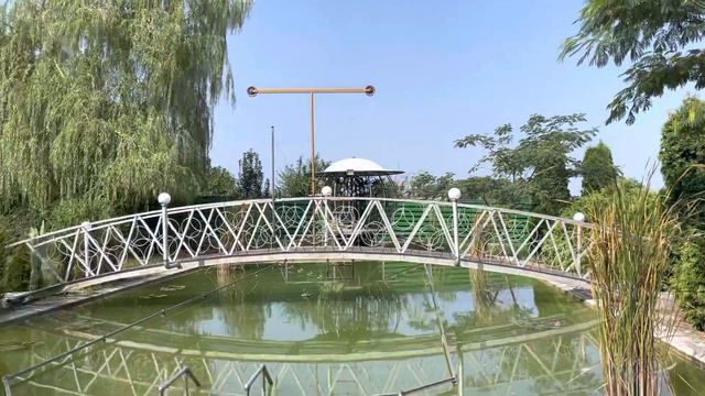 Французский бульдог Марсик допущен к реконструкции водоёма смотреть онлайн
